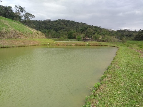 Imagem 8 de 30 de Sitio No Juquiá - St00024