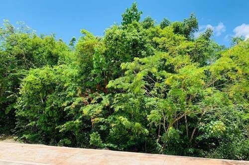 Imagen 4 de 14 de Exclusivo Terreno En Lagos Del Sol
