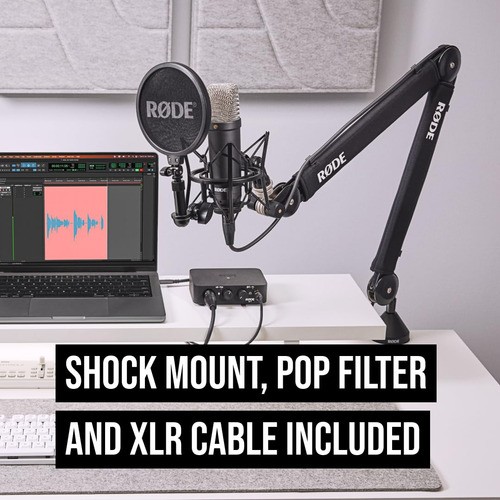 Micrófono De Condensador Røde Nt1 Signature Series Black