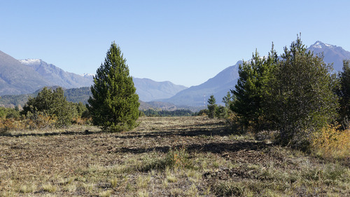 Espectacular Lote En Venta De 800 Metros En El Centro De Epuyen