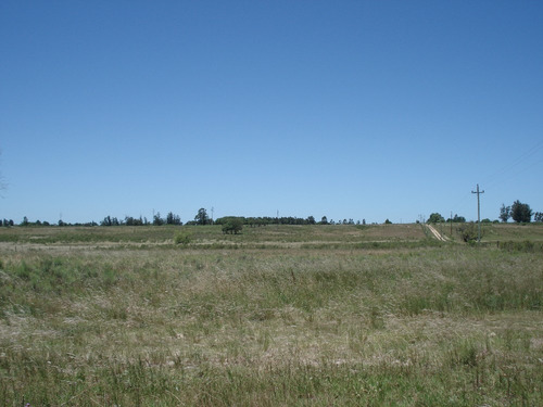 Campo Para Agricultura, Ganadería, Haras O Descanso