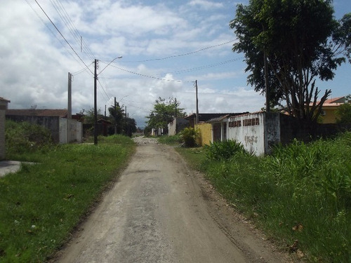 Imagem 12 de 13 de Terreno - Te00035 - 32363942