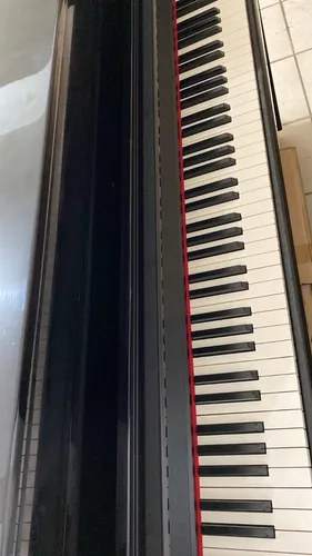 Kurzweil cup 2 price deals