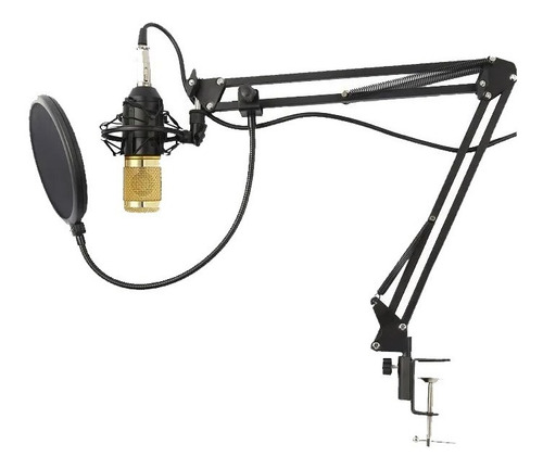 Kit Microfono Streamer Brazo Articulado Anti Pop