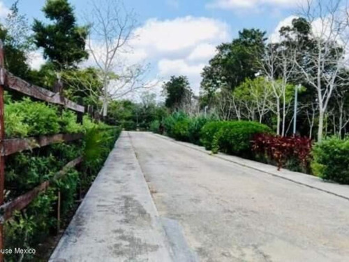 Terreno En Venta En Ruta De Los Cenotes