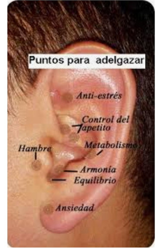  Auriculoterapia Curso 