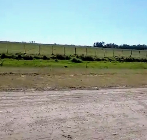 Imagen 1 de 4 de Lote En Venta Ubicado En Cañuelas