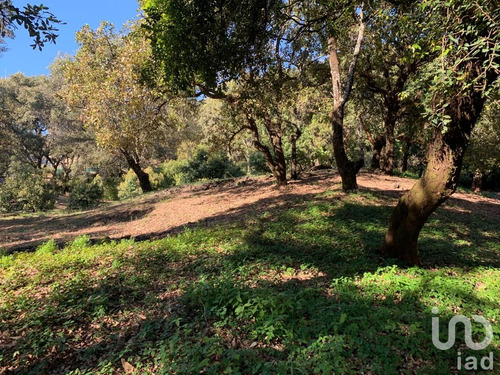 Venta Terreno 0 Ambiente Los Ocotes