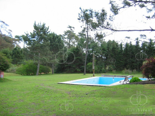 Imagen 5 de 29 de Punta Del Este, Chalet Con Gran Jardín, 4 Dormitorios Y Piscina-