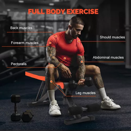 Banco de pesas de utilidad – Bancos de fitness ajustables para  entrenamiento de cuerpo completo, plegable plano/inclinación/disminución de  la