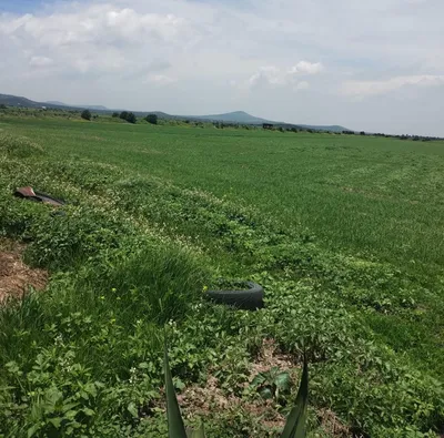 Terreno en venta