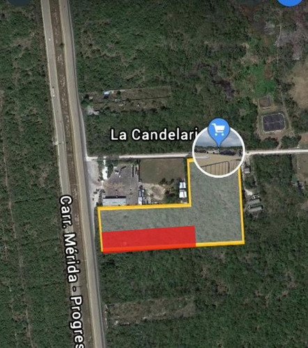 Imagen 1 de 6 de Terreno De 10,000 M2 Sobre Carretera Merida Progreso.