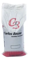 Comprar Semillas De Girasol Brotes, Consumo Aves Y Loros X 1 Kg