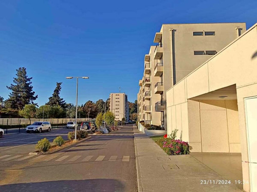 Arriendo Departamento En Peñablanca, 3 Dormitorios