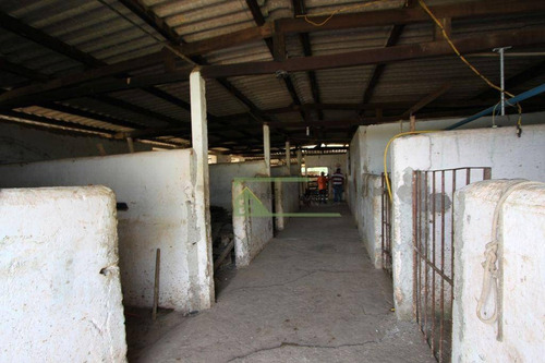 Imagem 27 de 30 de Sítio Com 5 Dormitórios À Venda, 100000 M² Por R$ 1.500.000,00 - Zona Rural - Ibiúna/sp - Si0045