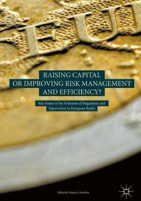 Libro Raising Capital Or Improving Risk Management And Ef...