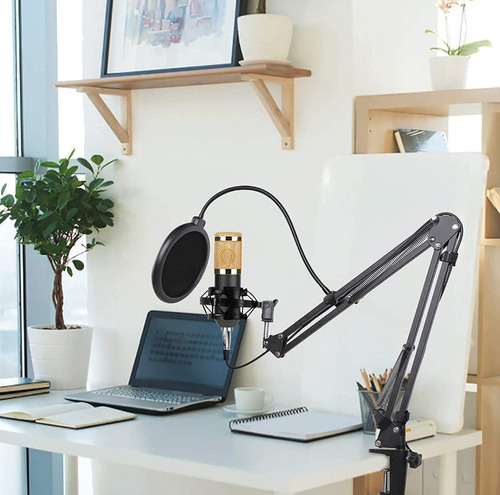 Microfono Profesional Youtube Set Estudio Video Juegos Bm800 Dorado