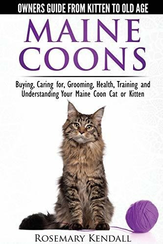 Maine Coon Cats - The Owners Guide From Kitten To Old Age -, De Kendall, Rosemary. Editorial Cat Experts, Tapa Blanda En Inglés, 2014
