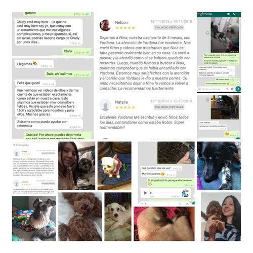 Guardería De Mascotas Palermo