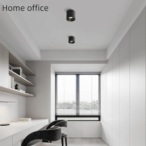 Lámpara De Techo Led Regulable, Moderna Lámpara De Techo Emp
