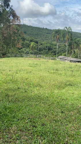 Imagem 16 de 27 de L38- Lotes Com Segurança E Otimo Valor