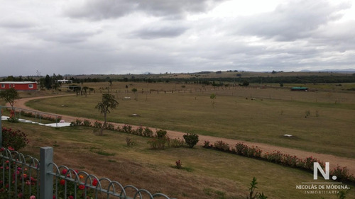 Chacra En Venta Por Ruta 9 , Maldonado