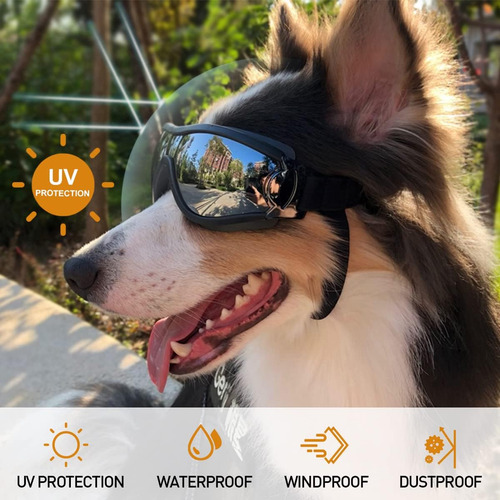 Gafas De Sol Para Perros Gafas De Sol Para Perros De Ra...