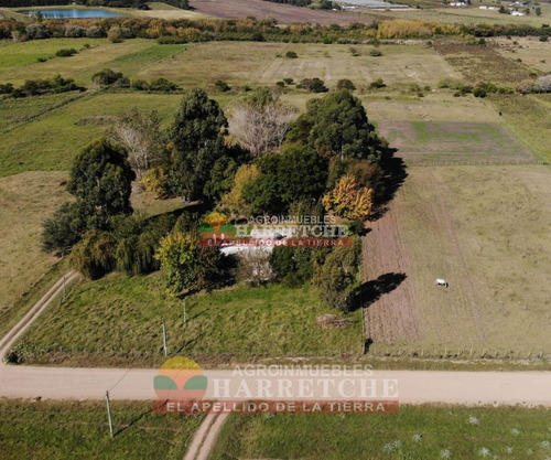 Imagen 3 de 30 de Chacra 5 Has En Venta, Casa 3 Dorm, Cno Gigante