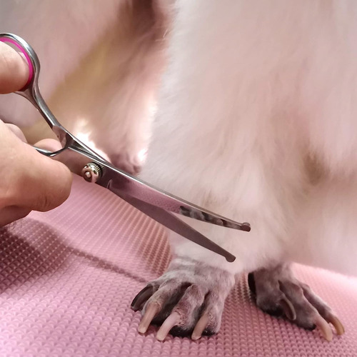 Tijeras Peluqueria Para Perros Xiimuu Acero Inoxidable