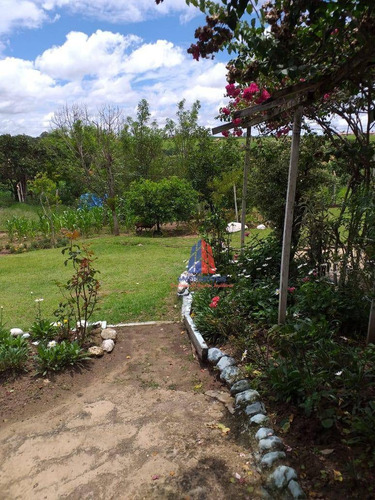 Imagem 21 de 23 de Chácara Com 2 Dormitórios À Venda, 2000 M² Por R$ 320.000,00 - Bairro Dos Pires - Limeira/sp - Ch0070
