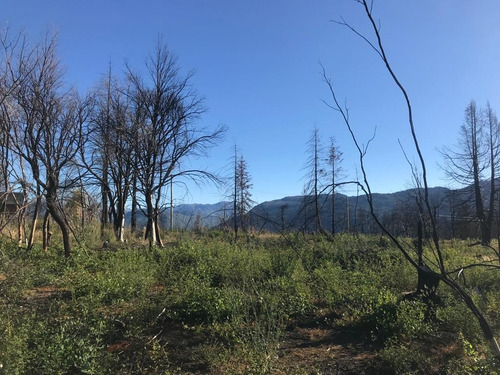 Imagen 1 de 10 de Terreno - Las Golondrinas