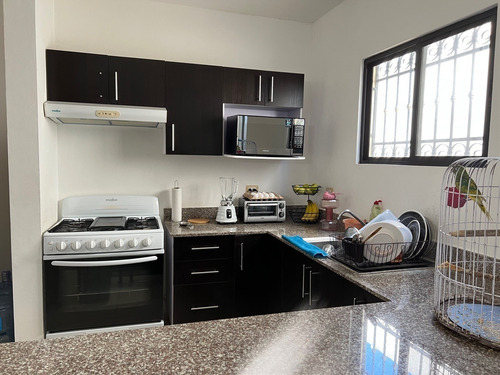Imagen 6 de 15 de Casa En Renta En Gran Santa Fe.