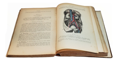Antiguo Libro De Anatomía Humana Testut-latarjet Tomo 2 (Usado)