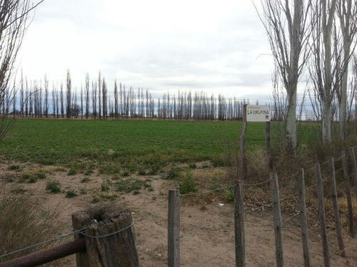 Imagen 20 de 30 de Finca De 62 Ha - General Alvear- Mendoza