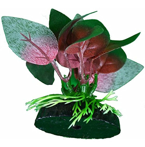 Betta Plant Red Anubias Leaf Por Blue Spotted Great Para Bet