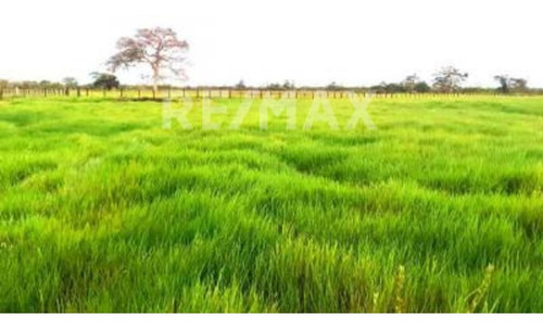 Imagen 7 de 15 de Finca En Venta Vía El Sur. Maturín (1)