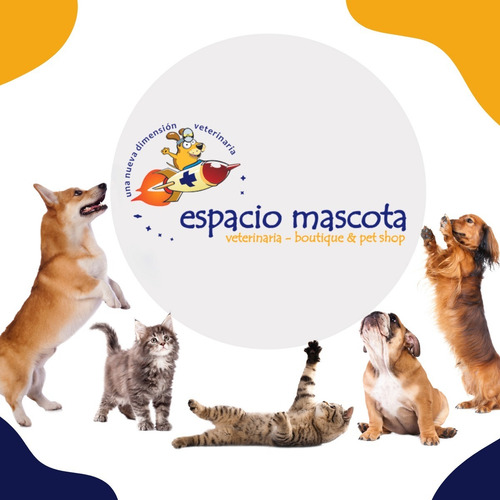 Imagen 9 de 9 de Alimento Matisse Salmón Gato Castrado 7.5 Kg + Regalo!
