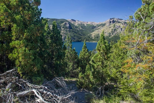 Imagen 7 de 9 de Fabienne Edelberg Fe Propiedades Venta 4 Hectareas En Lago Meliquina