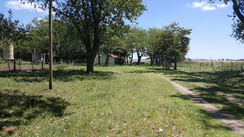 450 Has - Campo Ganadero En Venta A Metros De Ruta !!!
