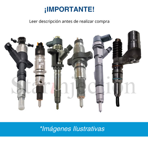 Inyector Ford Cargo 3129/34 -service
