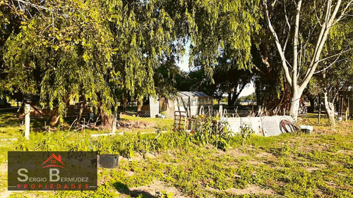 Imagen 2 de 14 de Venta-chacras-campo - Gral Lavalle-ruta 11/ Km 320