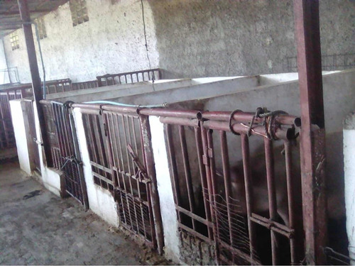 Imagen 3 de 12 de Excelente Granja En Venta