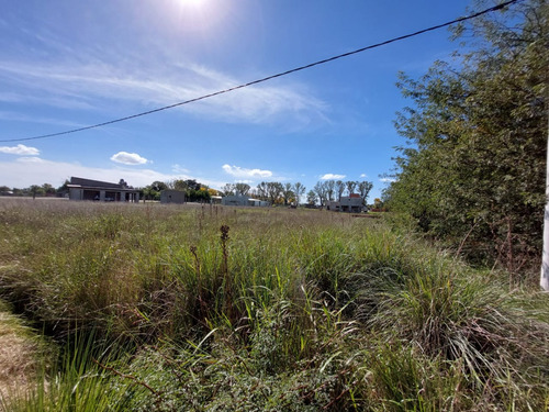 Lote De Gran Dimension En Zona De Quintas