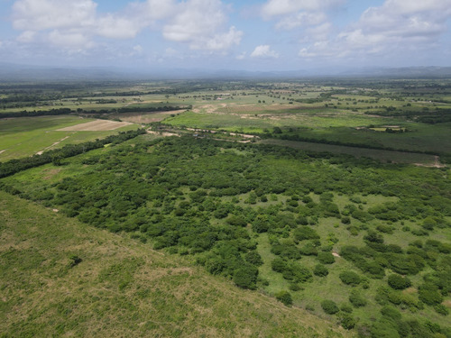 Imagen 9 de 30 de Finca En Venta Aguadagrande, Siquisique Cod. 23-7859
