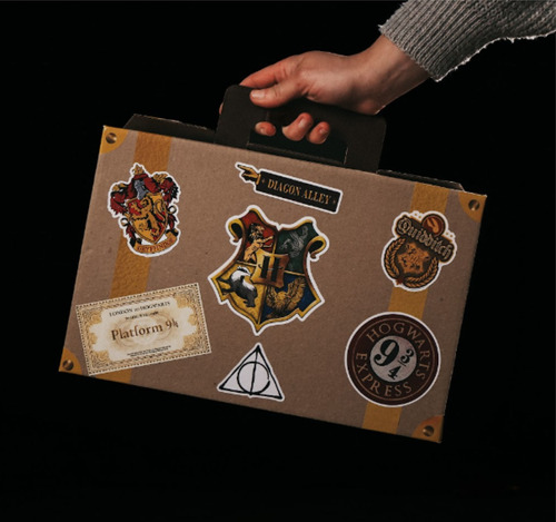 Mini Box Harry Potter - Todas Las Casas De Hogwarts 