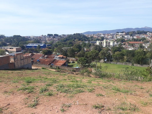 Imagem 6 de 8 de Terreno De 2.746m²ideal Para Investidores - Te0260-1