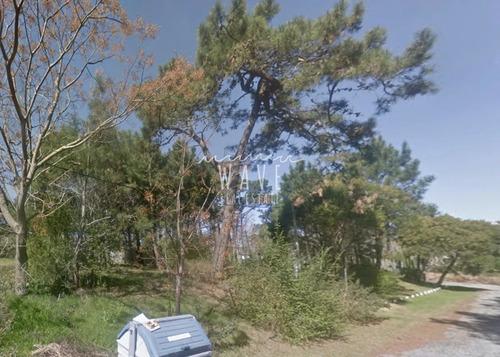 Terreno En Venta, Punta Del Este, Lugano, 719 M2