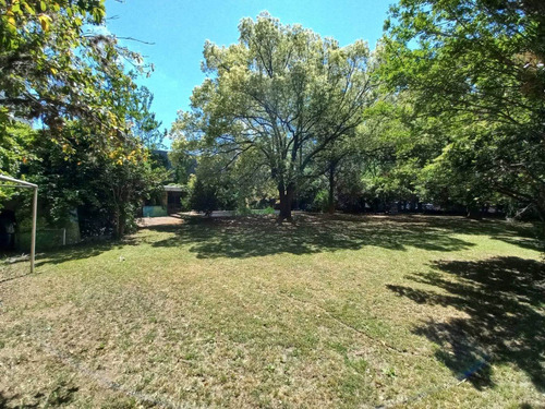 Imagen 8 de 14 de Lote Venta Tigre