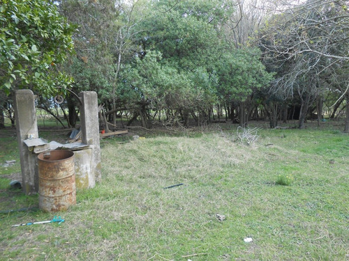 Imagen 9 de 12 de Vendo Linda Chacra Casa A Reciclar, Galpón Y Costa Cañada Cardozo