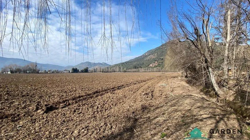 Venta 11 Hectreas, Proyecto San Jose De Toro, Nancagua